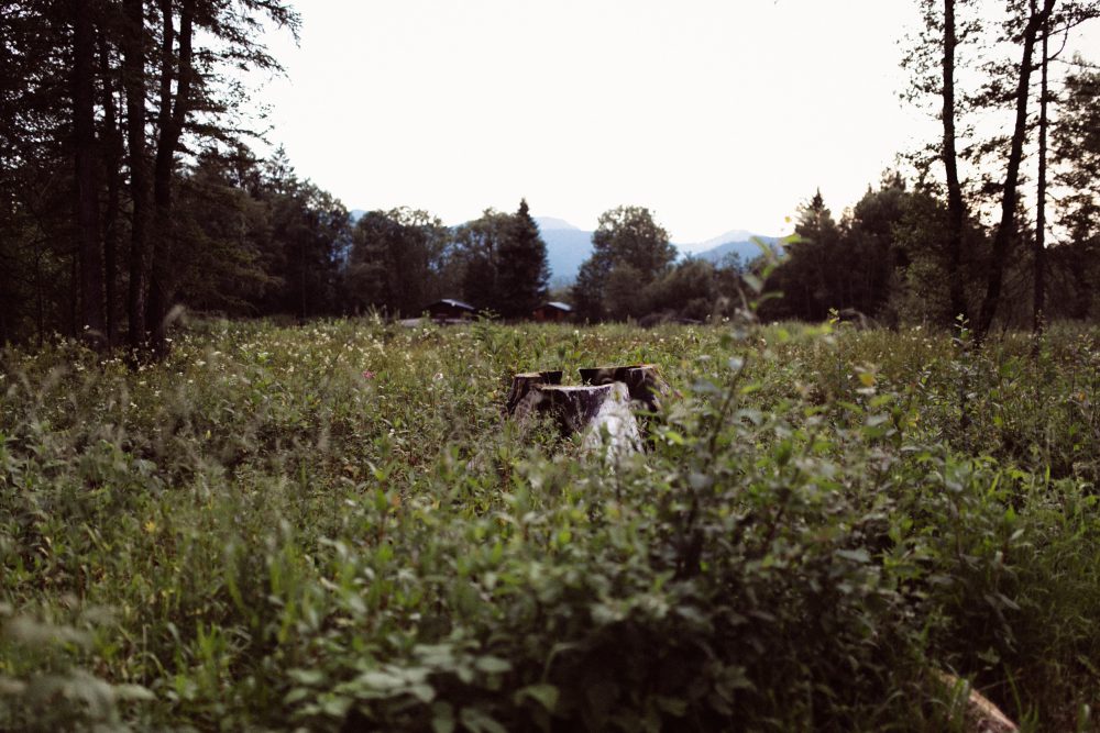 Babybauch Shooting am idyllischen Bergweiher