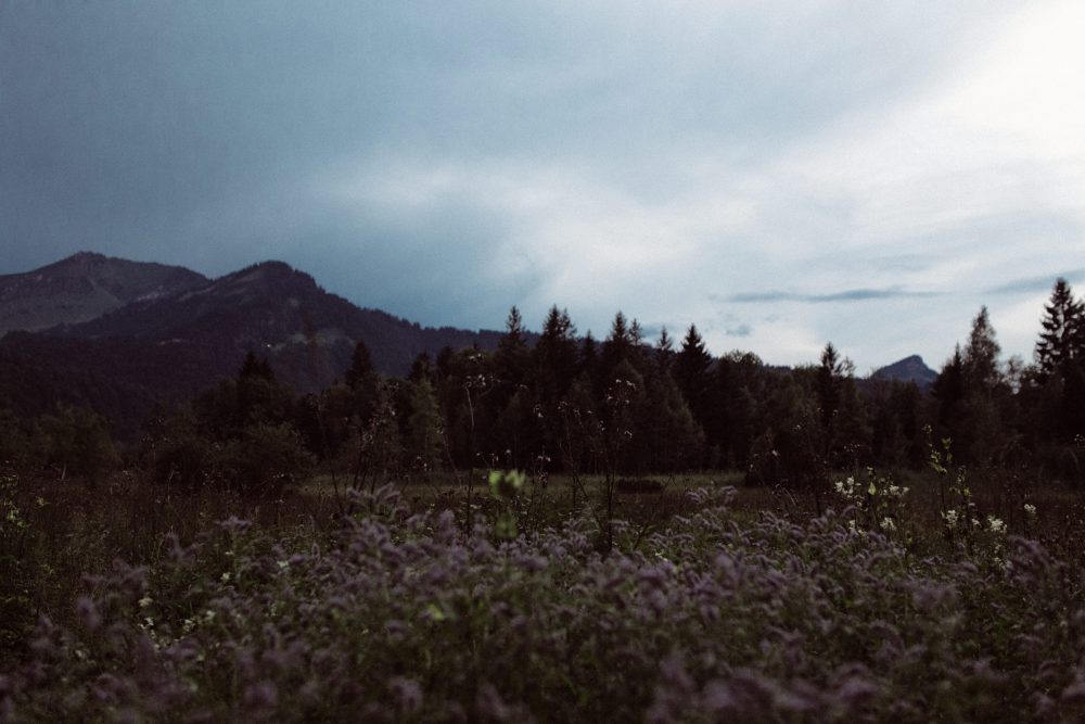 Babybauch Shooting am idyllischen Bergweiher