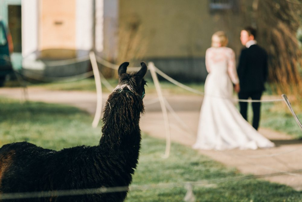 Hochzeit auf Kloster Holzen und Schloss Blumenthal