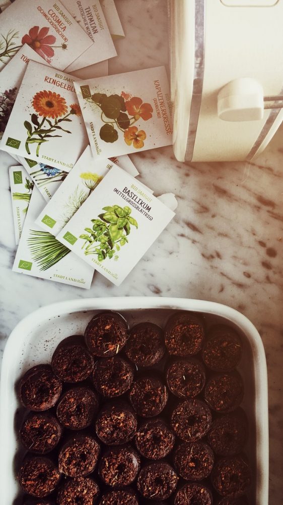 Wiese urbar machen / Kompost unterheben / Pflänzchen ziehen