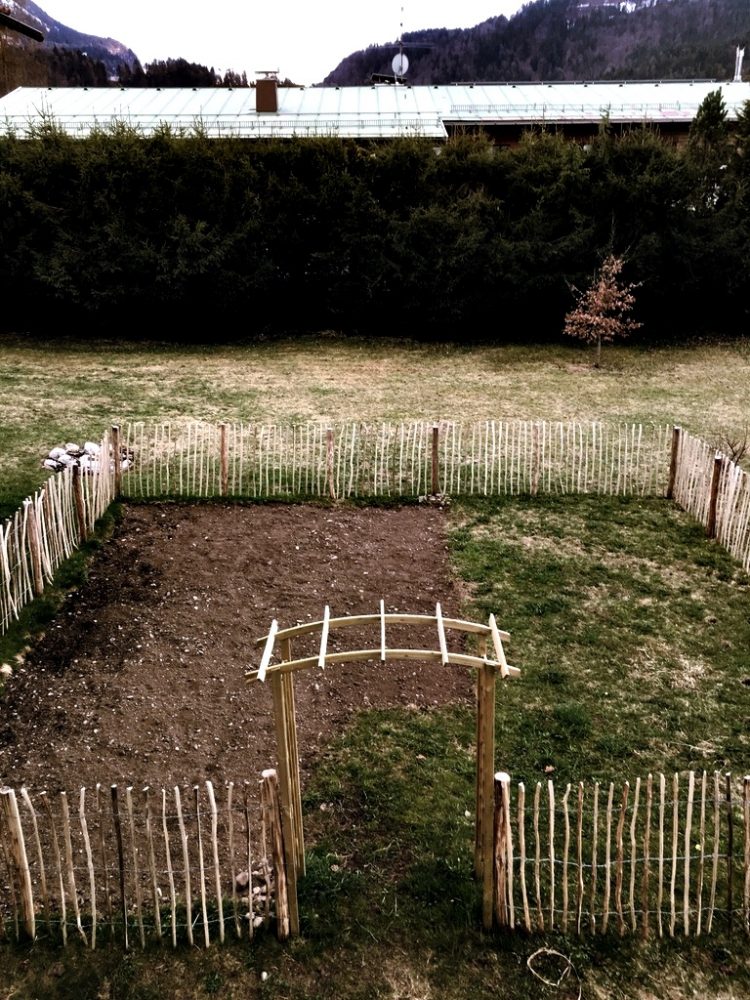 Wiese urbar machen / Kompost unterheben / Pflänzchen ziehen