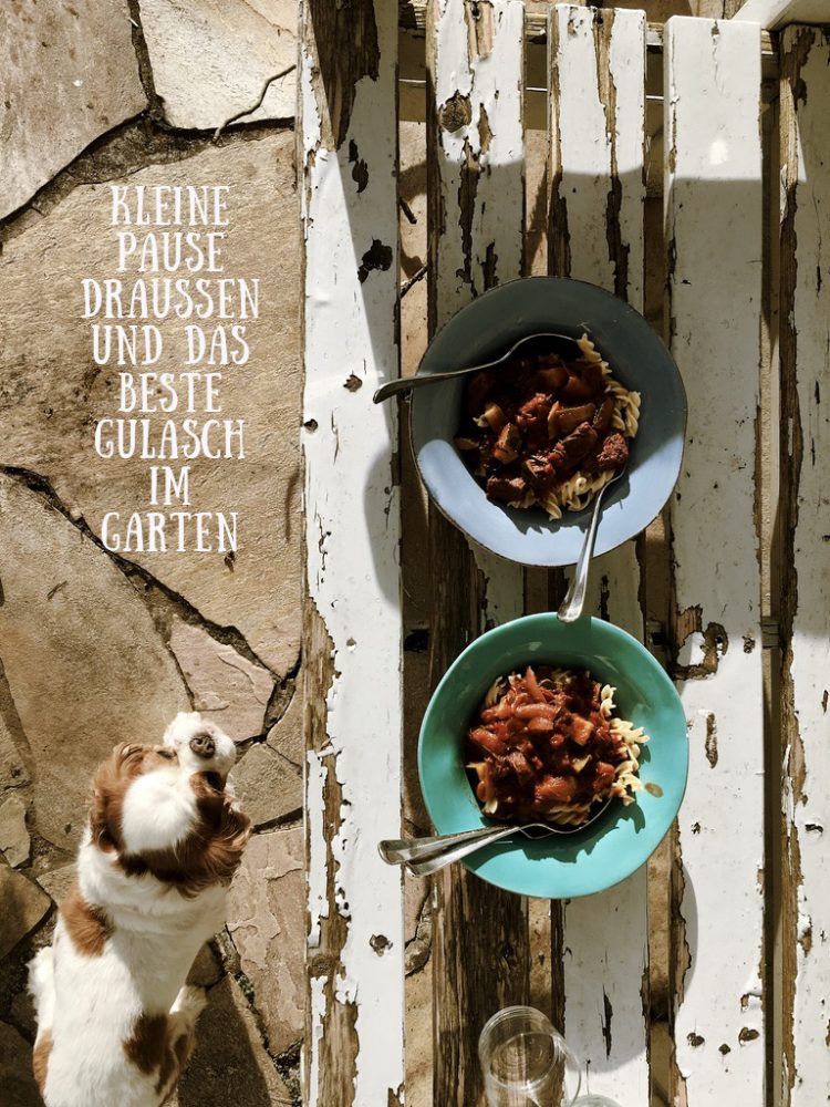 Wiese urbar machen / Kompost unterheben / Pflänzchen ziehen