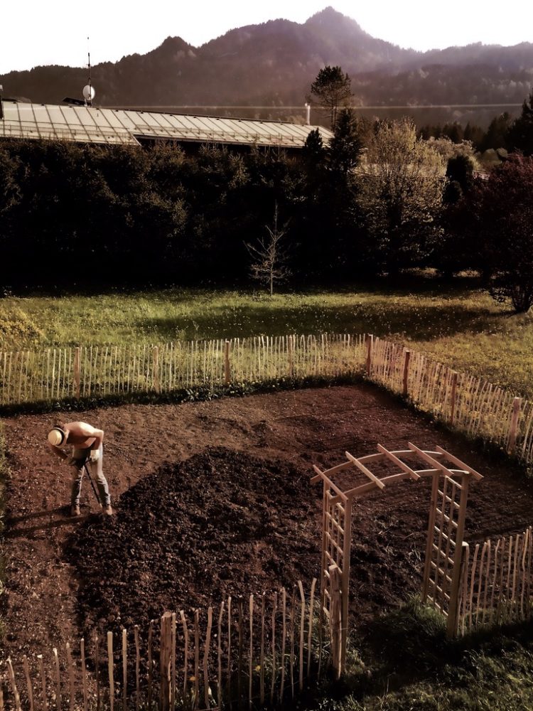 Wiese urbar machen / Kompost unterheben / Pflänzchen ziehen