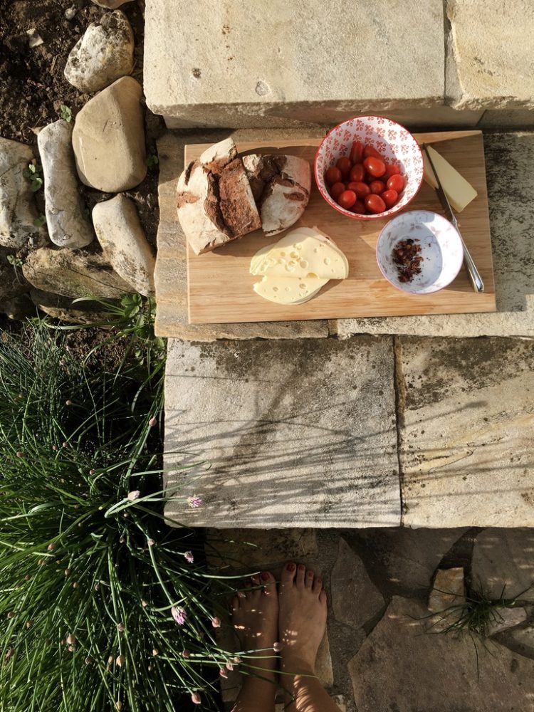 Wiese urbar machen / Kompost unterheben / Pflänzchen ziehen