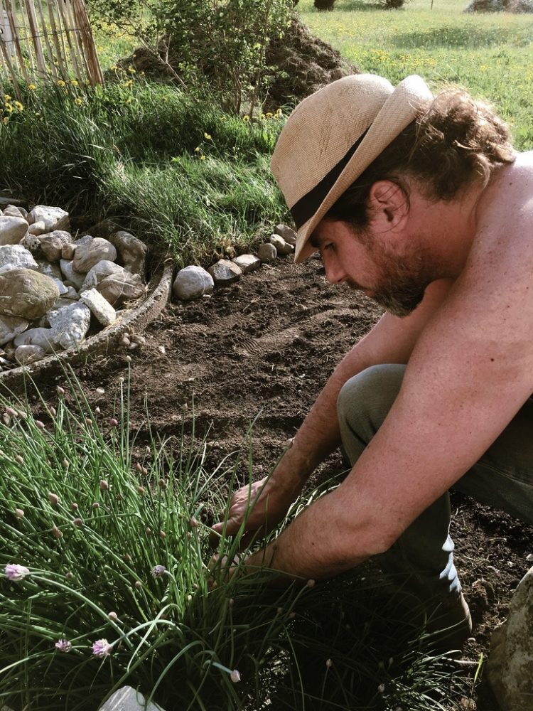 Wiese urbar machen / Kompost unterheben / Pflänzchen ziehen