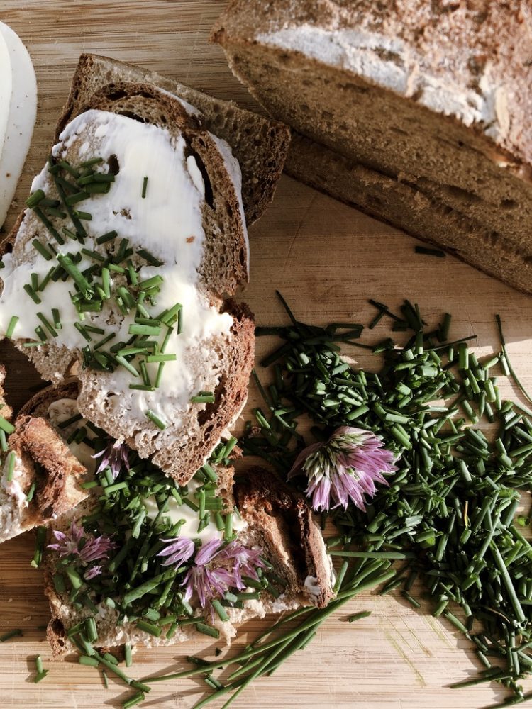 Wiese urbar machen / Kompost unterheben / Pflänzchen ziehen