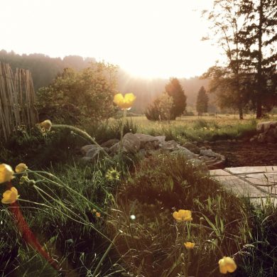 Wiese urbar machen / Kompost unterheben / Pflänzchen ziehen