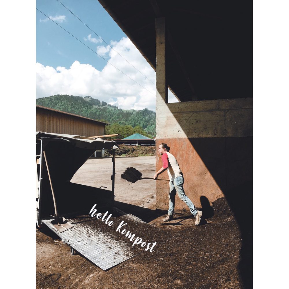 Wiese urbar machen / Kompost unterheben / Pflänzchen ziehen