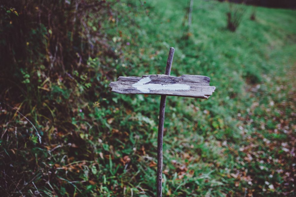 Wald Hochzeit im Allgäu