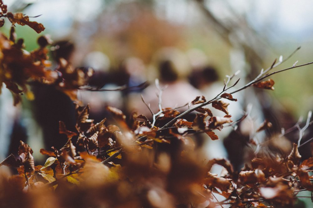 Wald Hochzeit im Allgäu