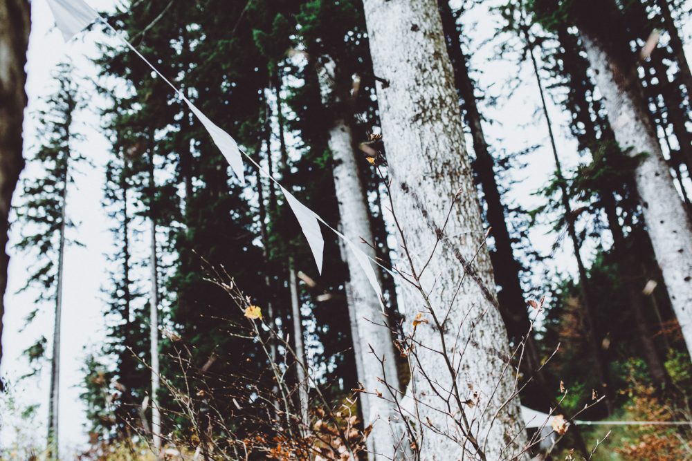 Wald Hochzeit im Allgäu