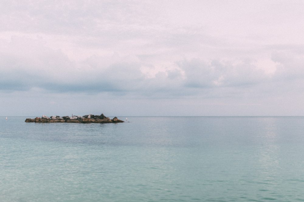 after wedding Shooting unter dem Mangobaum und der Florida-Sonne