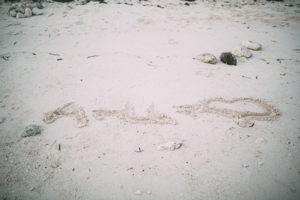 after wedding Shooting unter dem Mangobaum und der Florida-Sonne