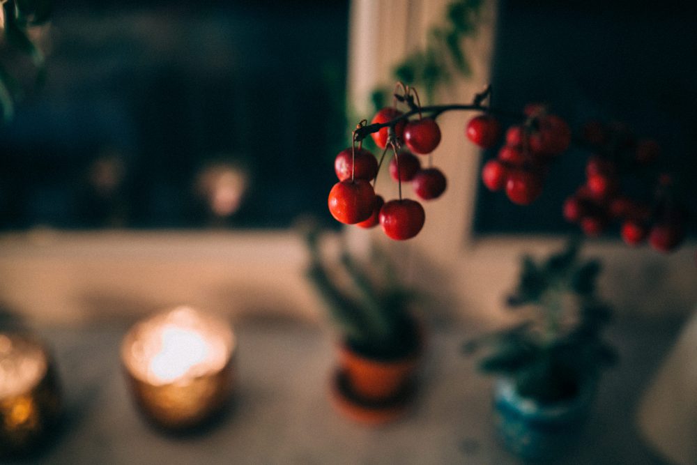 Pre-Christmas Party im Winterwald