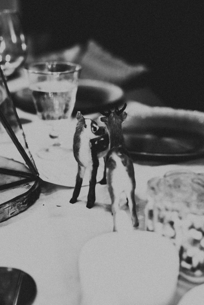 Pre-Christmas Party im Winterwald