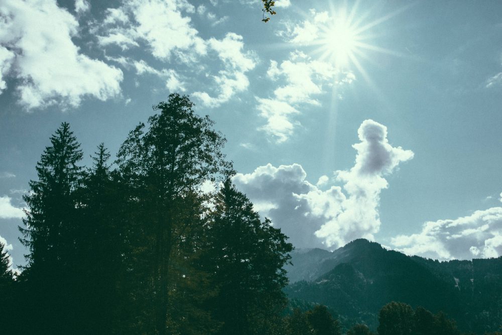 Engagement Shooting im Allgäu