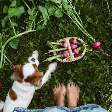 Mein Garten ist mein Paradies
