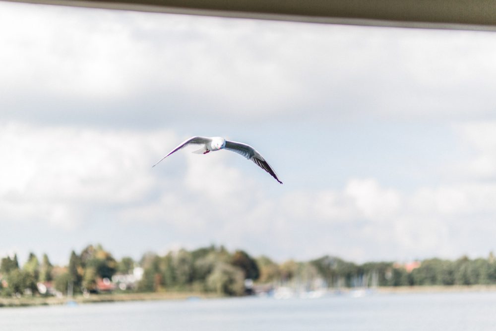 Standesamtliche Trauung auf der Herreninsel im Chiemsee
