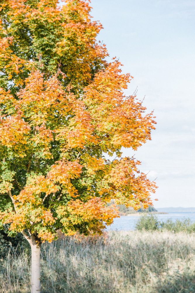 Standesamtliche Trauung auf der Herreninsel im Chiemsee