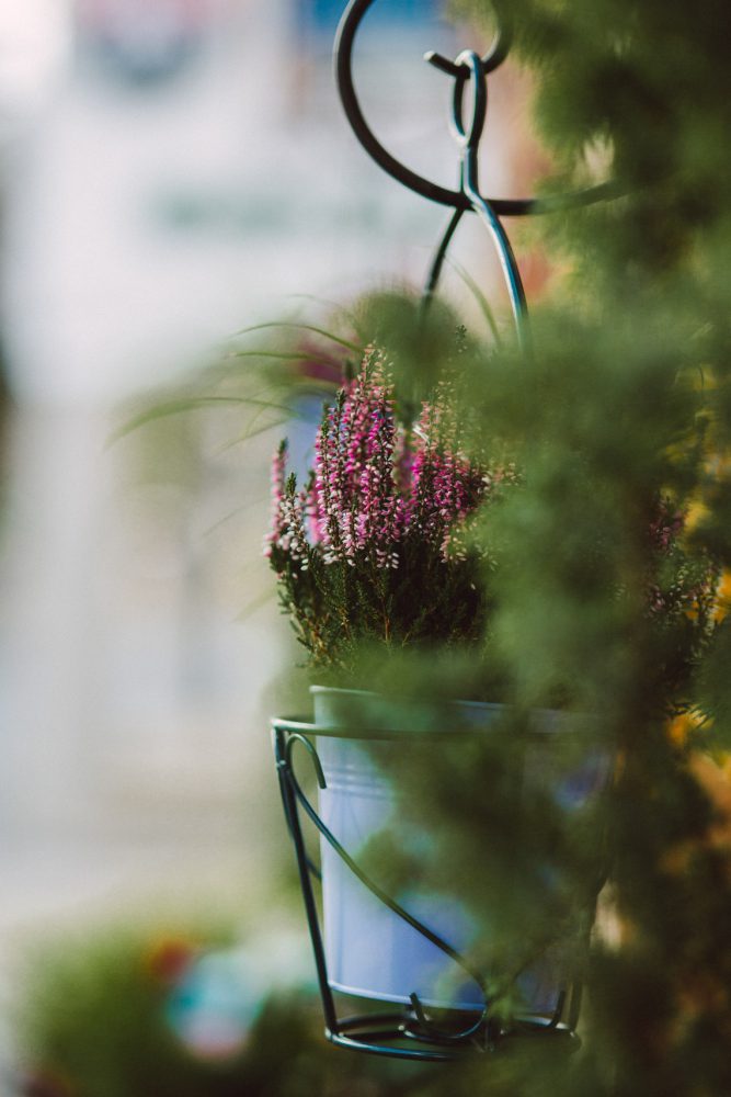 Hochzeitsreportage im Hotel Engel in Grän
