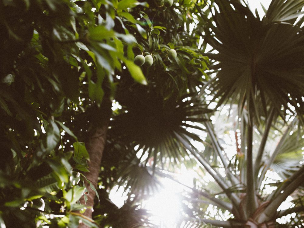 KEY WEST: a perfect, lazy pool day in paradise