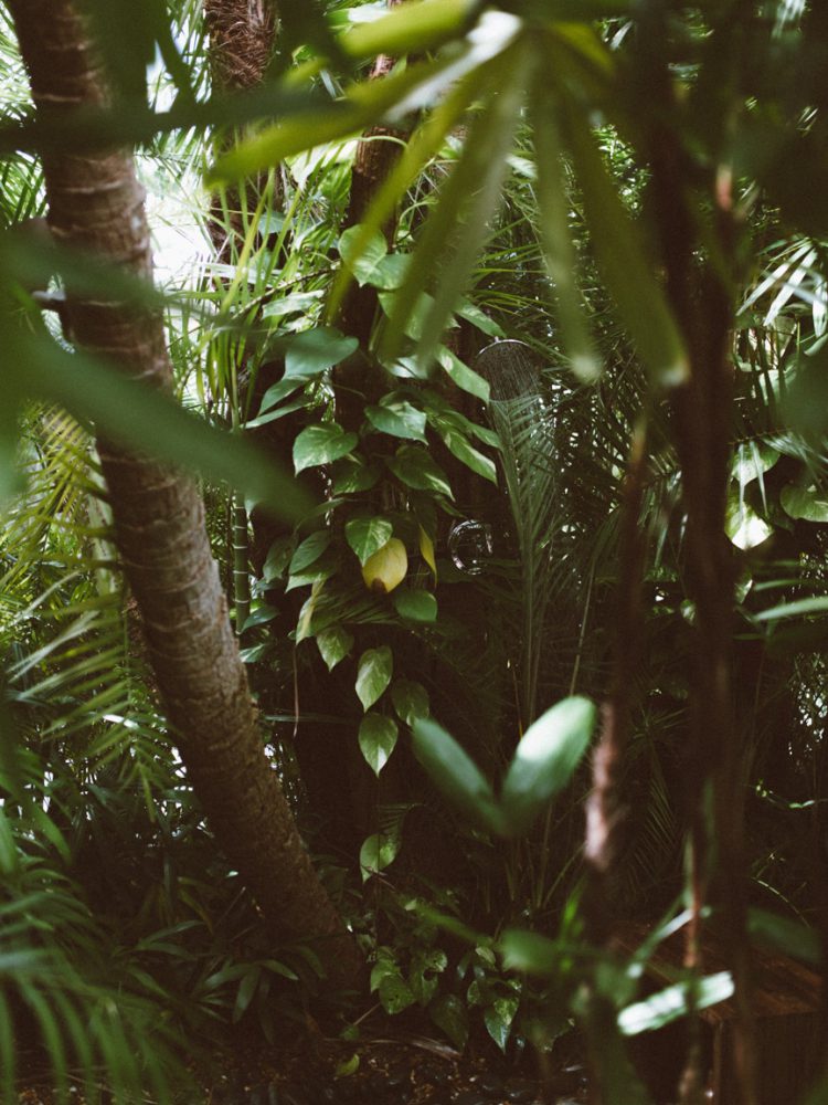 KEY WEST: a perfect, lazy pool day in paradise