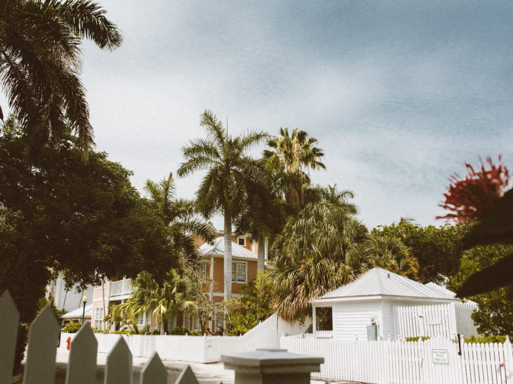 KEY WEST: a perfect, lazy pool day in paradise