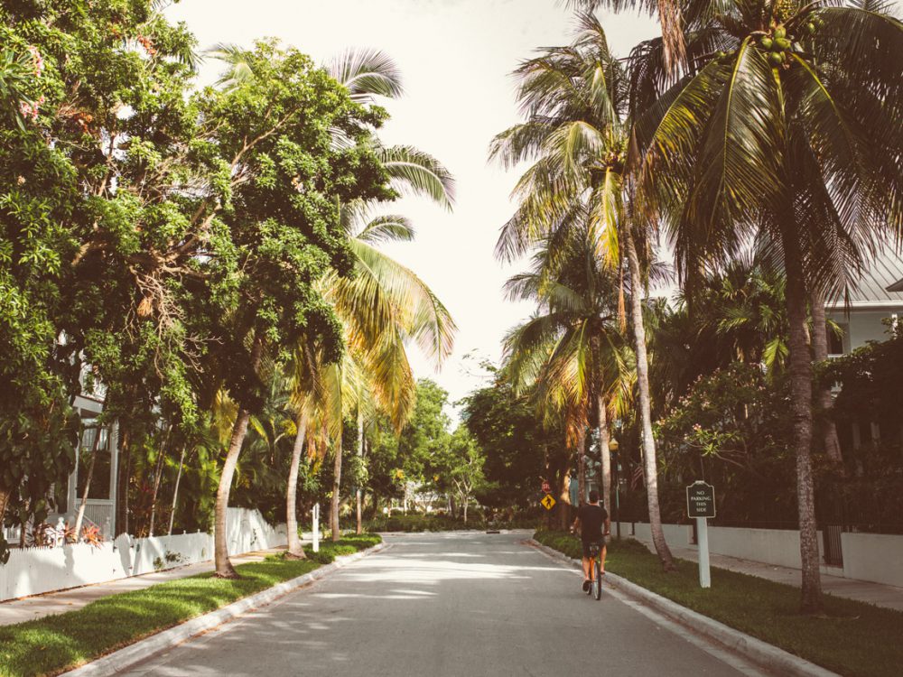 KEY WEST: a perfect, lazy pool day in paradise
