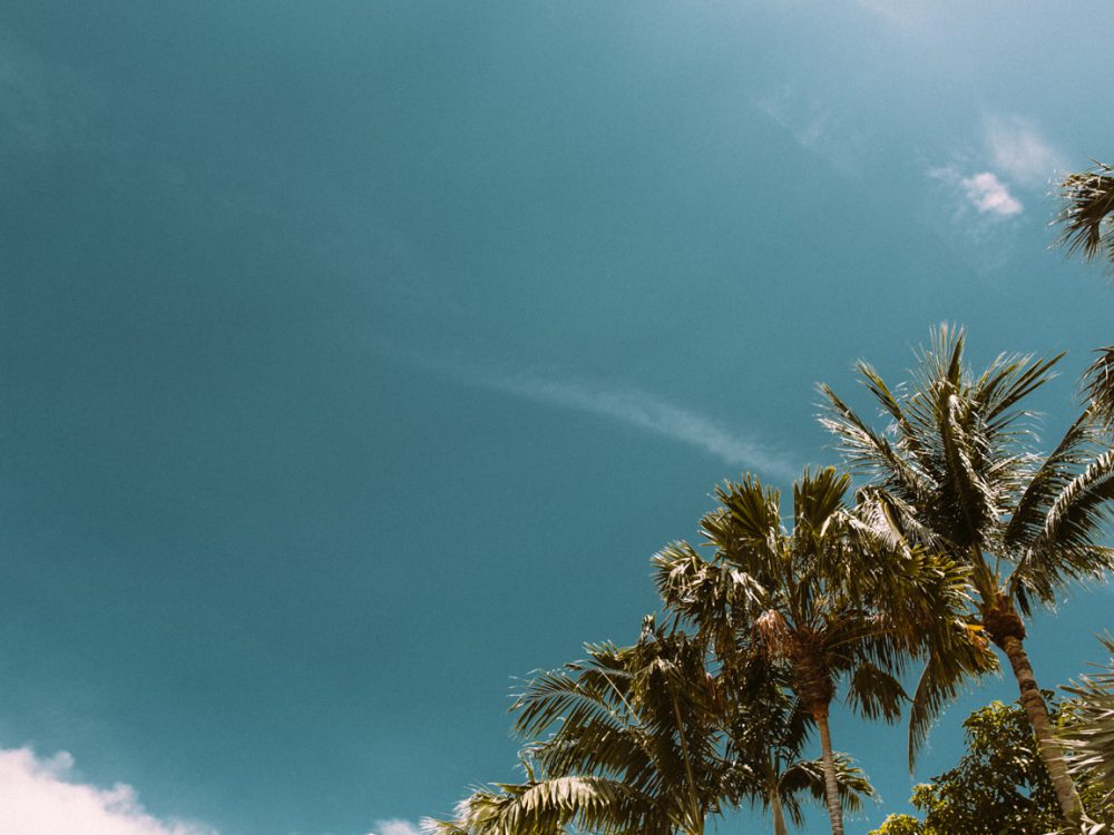 KEY WEST: a perfect, lazy pool day in paradise