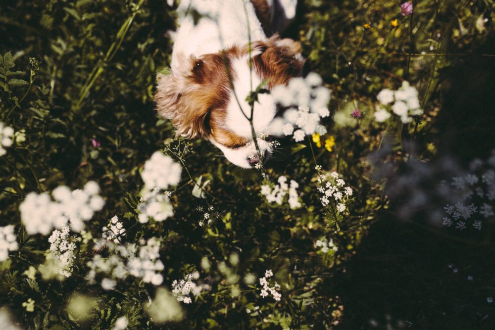 Der Erich Kästner Platz