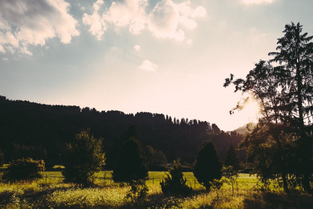 Der Erich Kästner Platz