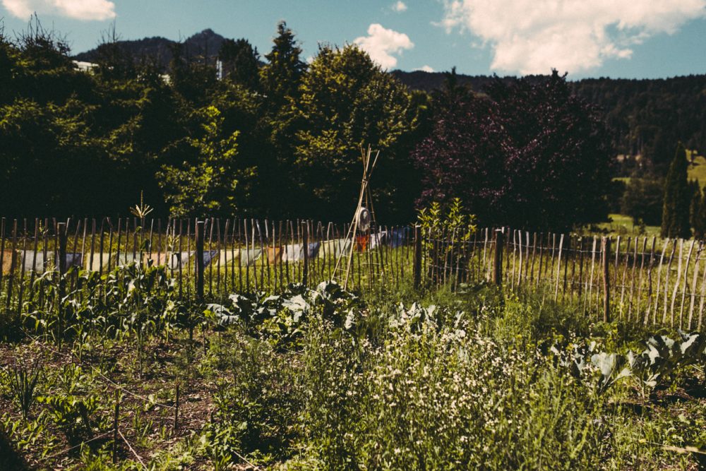 Der Erich Kästner Platz