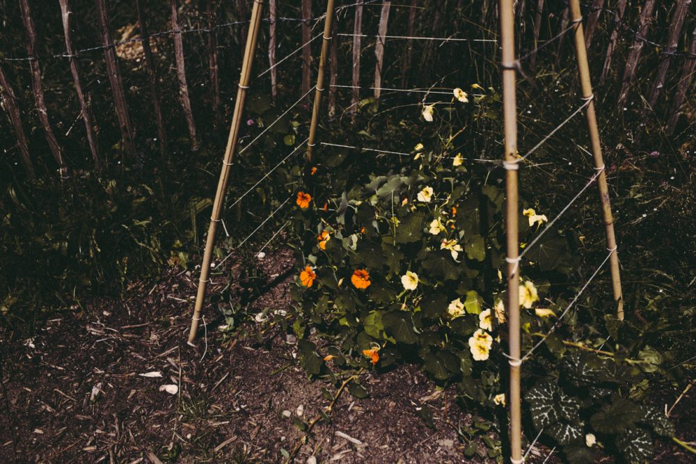 Der Erich Kästner Platz