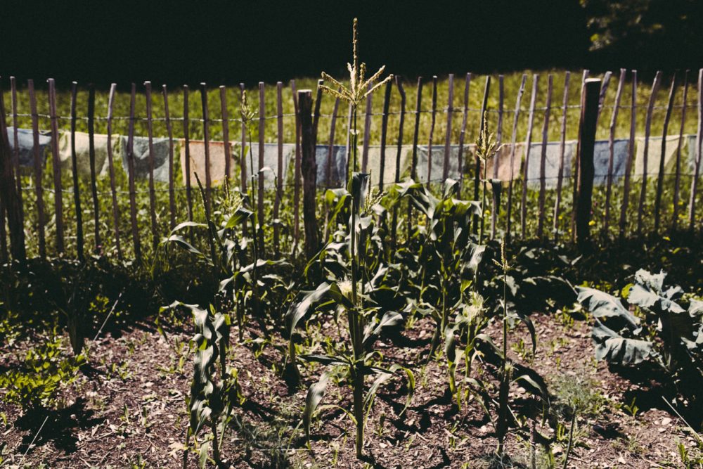 Der Erich Kästner Platz