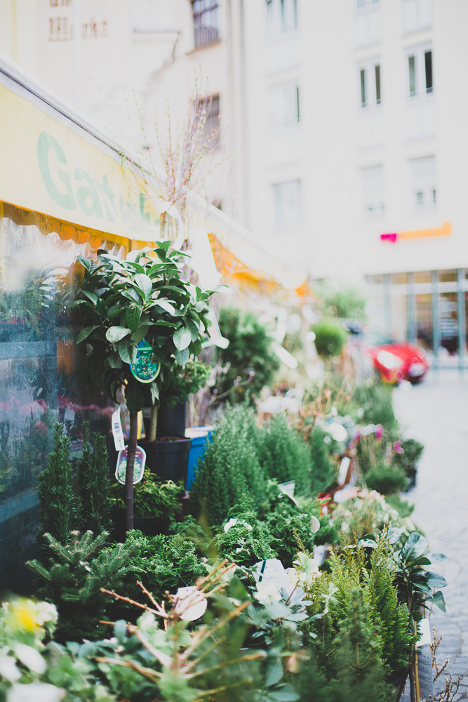 Flora Blog Victorian House-BLOGFIN-31