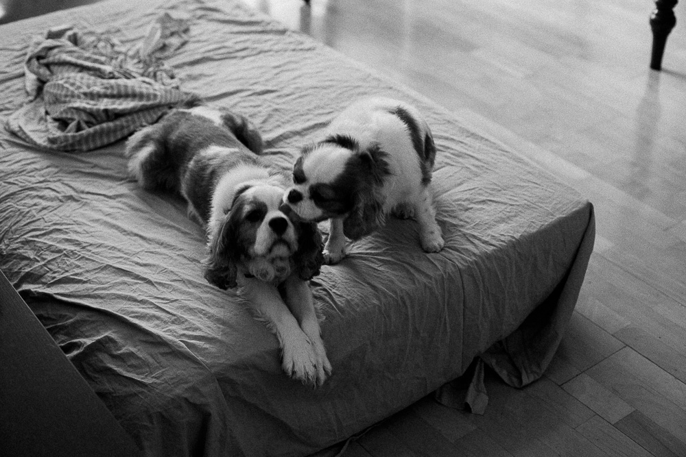 Flora Blog Victorian House-BLOGFIN-35