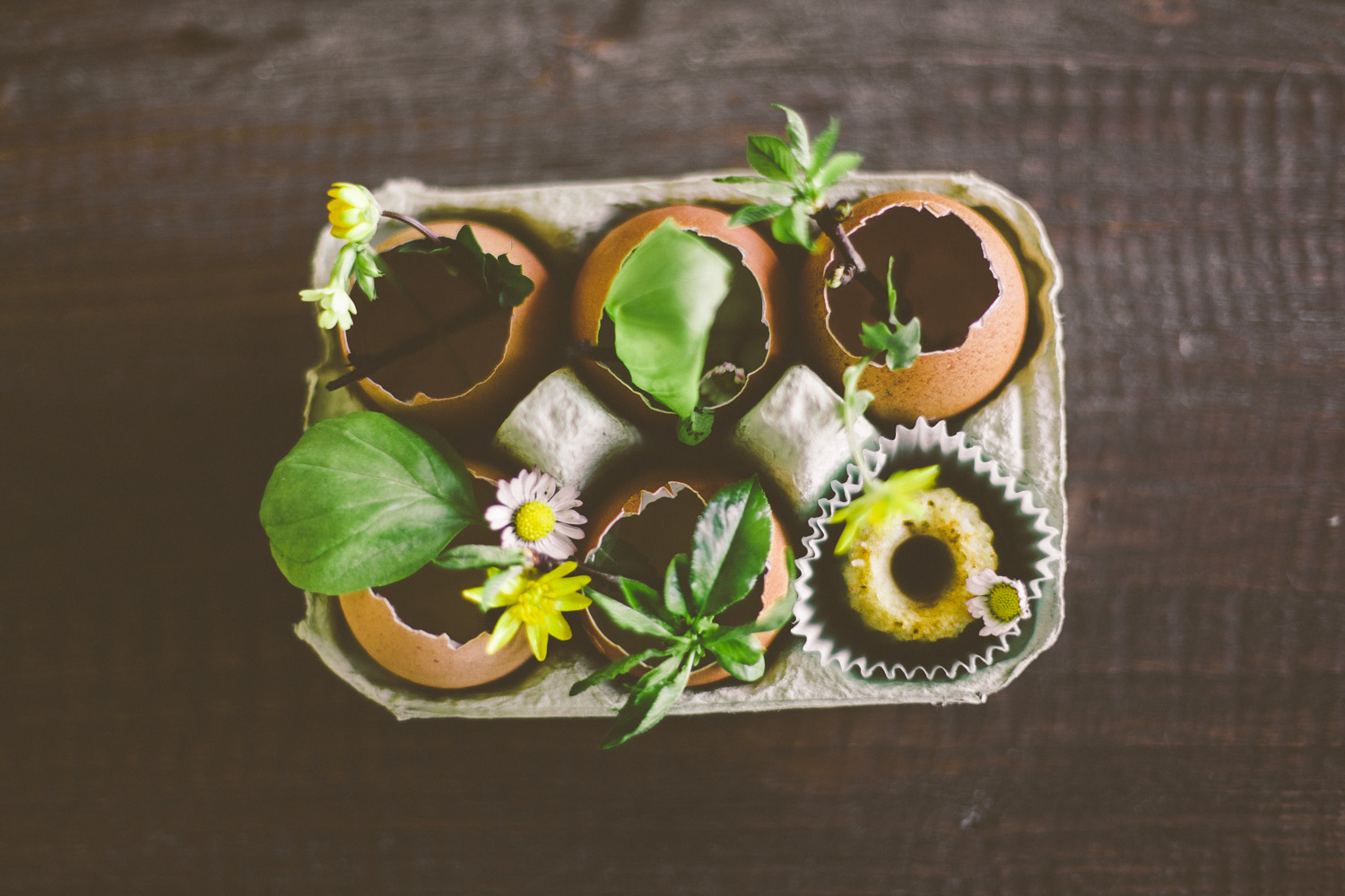 Hochzeitsfotos-Allgaeu-Vintage-1000-2