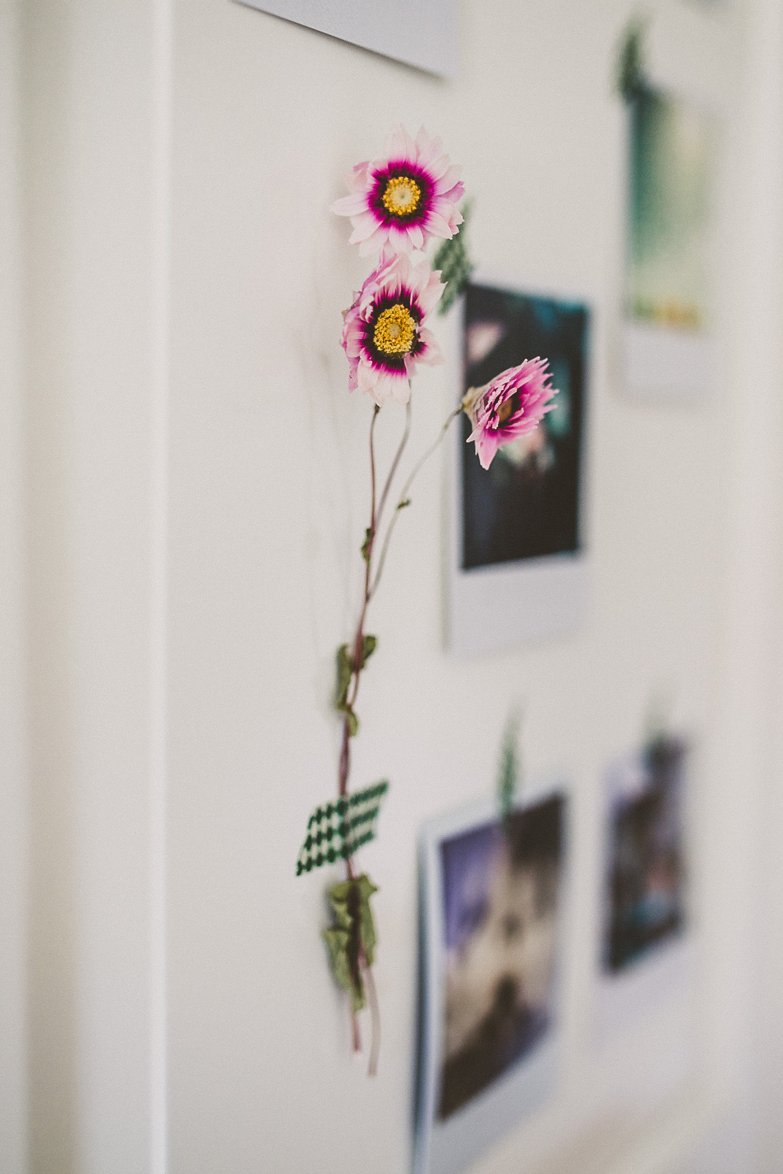 Gewinnspiel-Polaroids-3