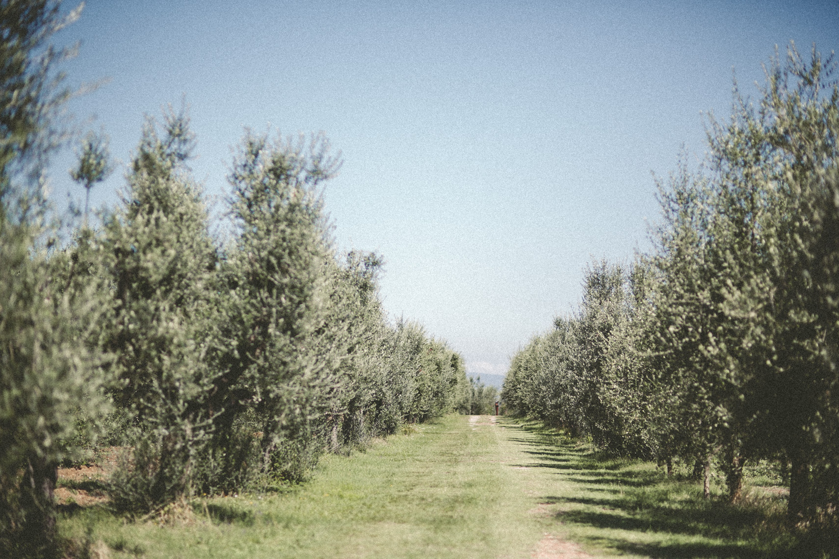 FLORASTUDIOS-HOCHZEITSFOTOGRAF-TOSKANA-20