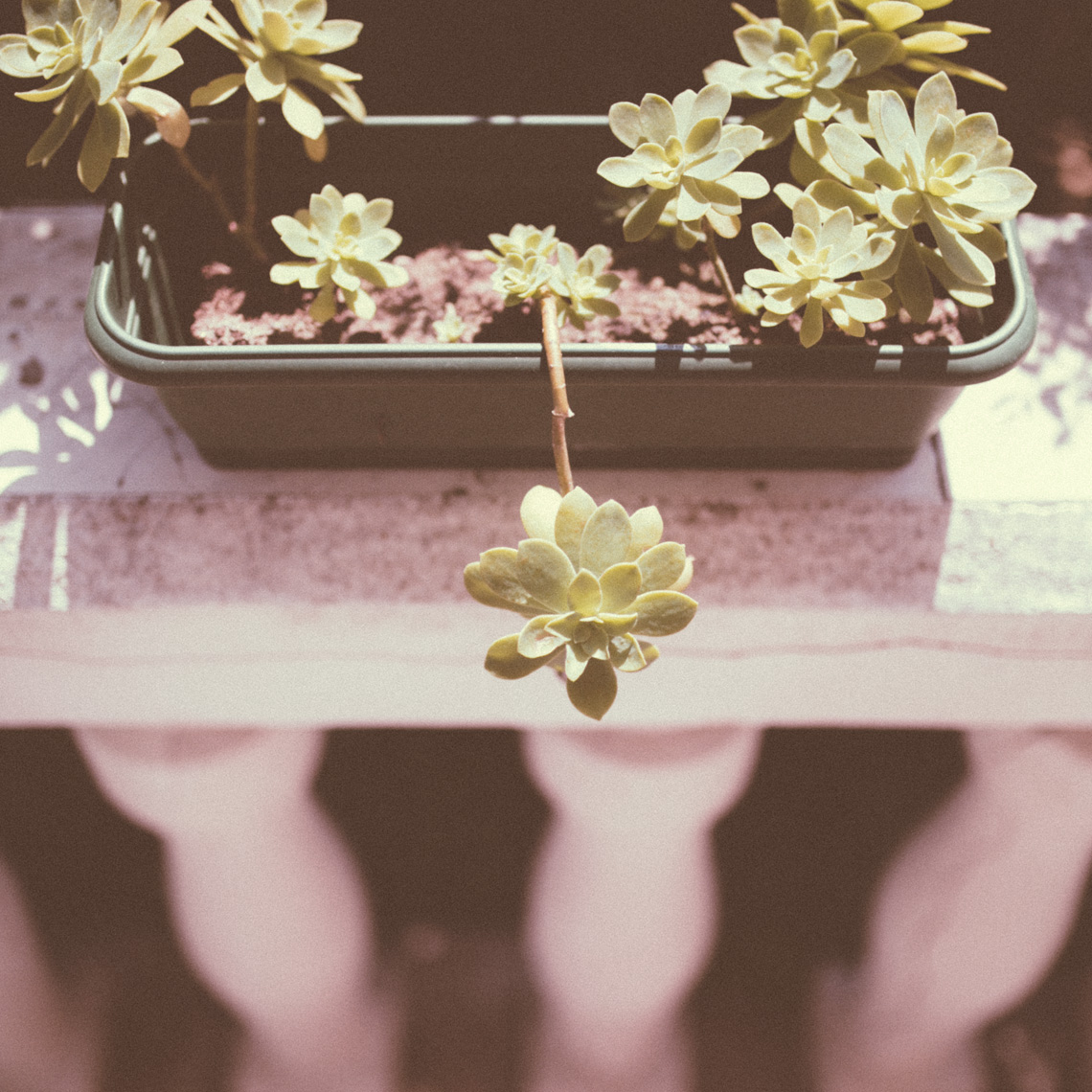 FLORASTUDIOS-HOCHZEITSFOTOGRAF-TOSKANA-27