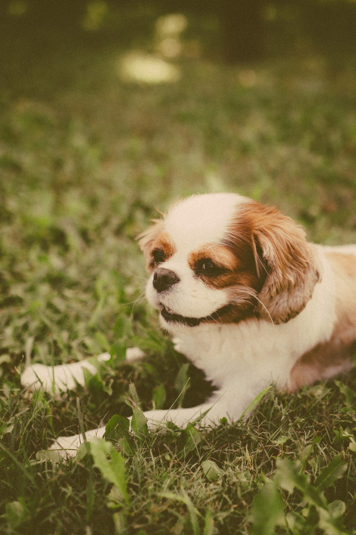 FLORASTUDIOS-HOCHZEITSFOTOGRAF-TOSKANA-28