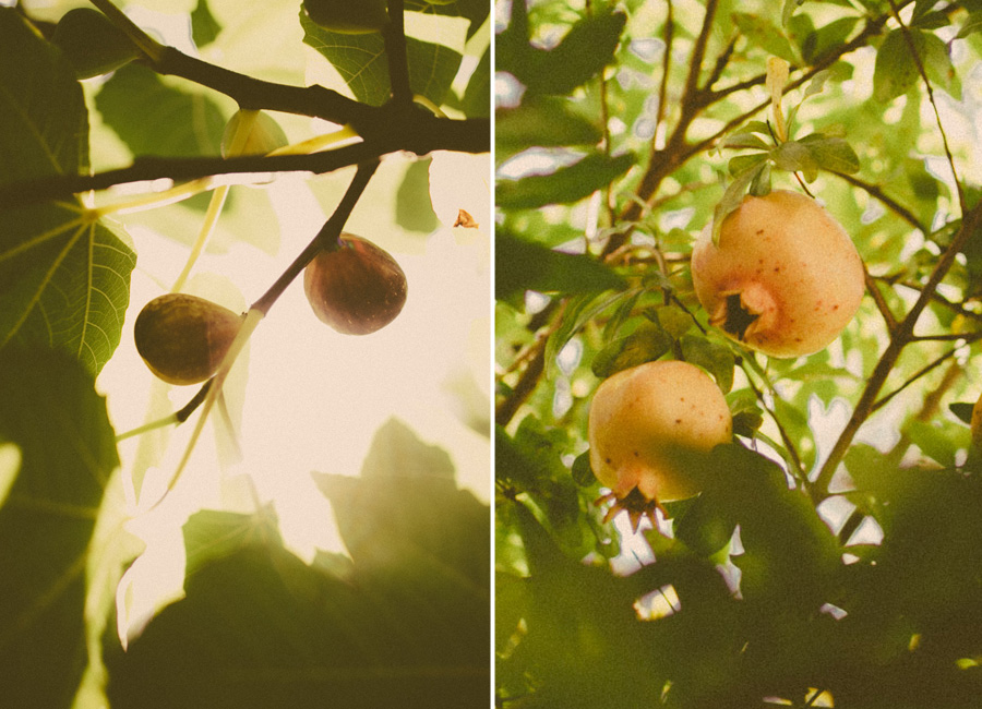 FLORASTUDIOS-HOCHZEITSFOTOGRAF-TOSKANA-29