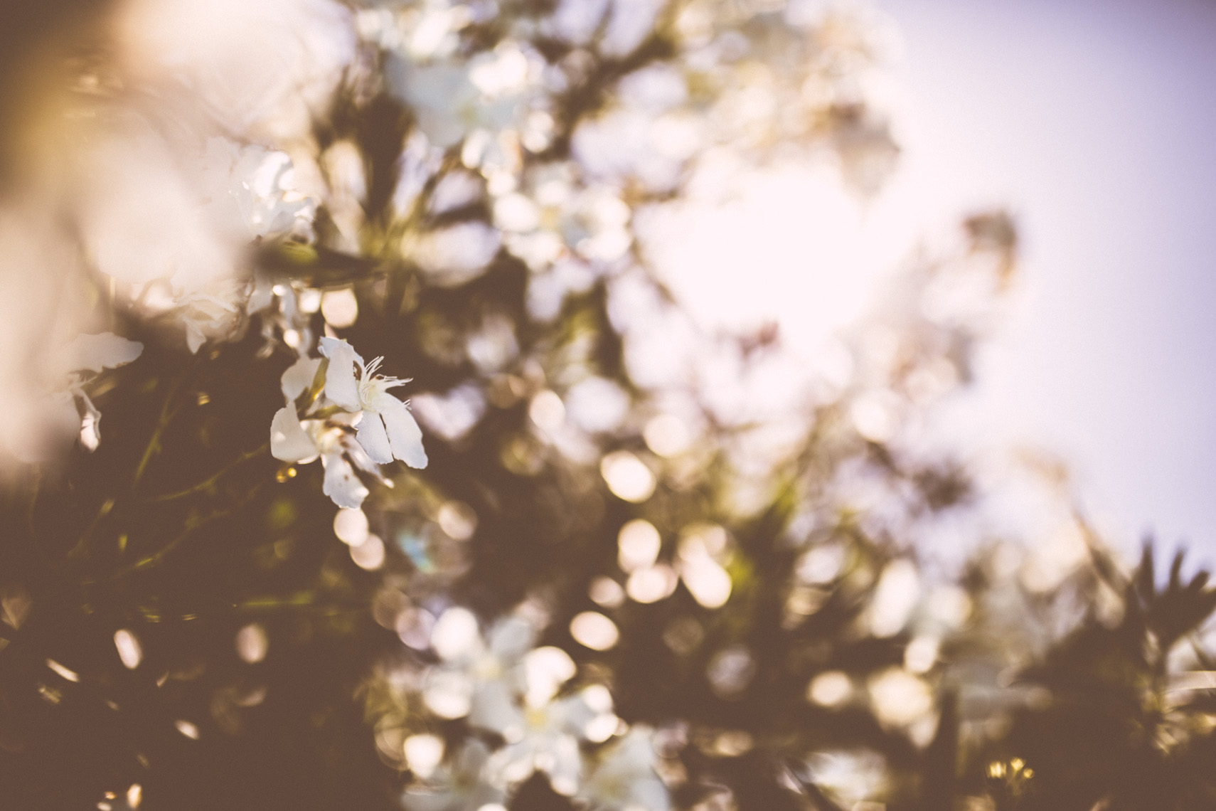 FLORASTUDIOS-HOCHZEITSFOTOGRAF-TOSKANA-31f