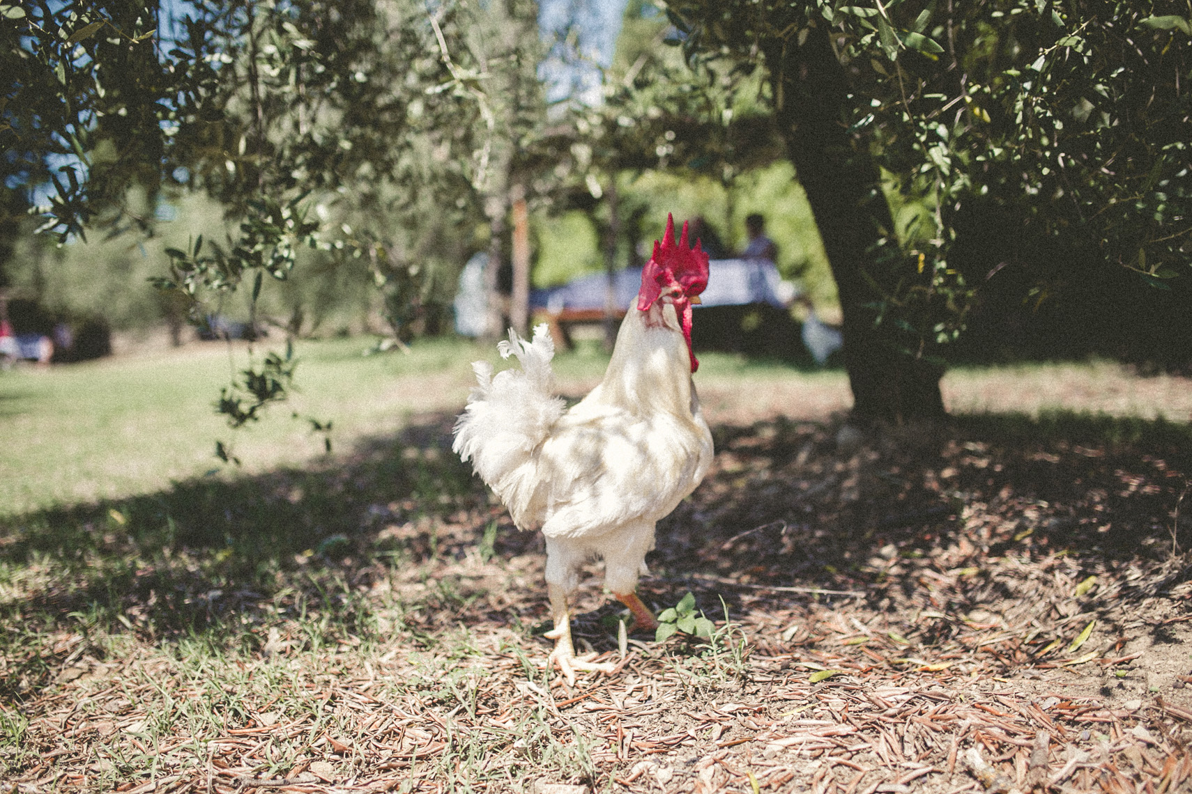 FLORASTUDIOS-HOCHZEITSFOTOGRAF-TOSKANA-63