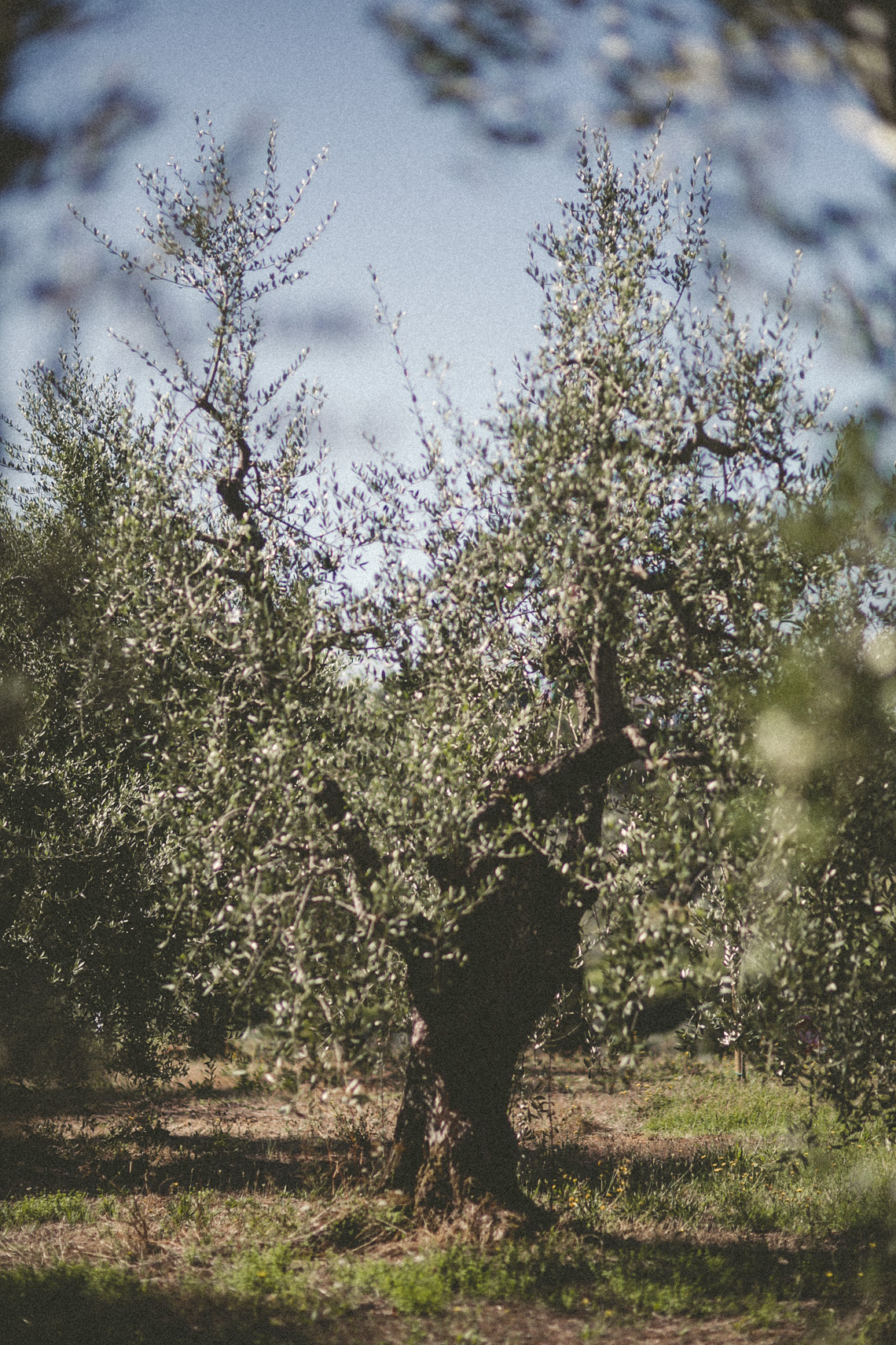 FLORASTUDIOS-HOCHZEITSFOTOGRAF-TOSKANA-69