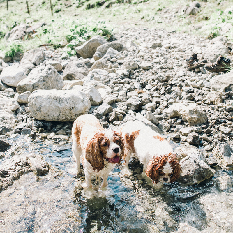 Hochzeitsfotograf-Oberstdorf-31