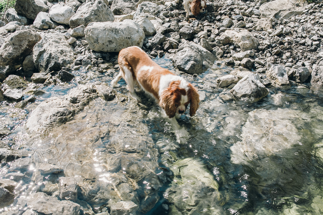 Hochzeitsfotograf-Oberstdorf-37