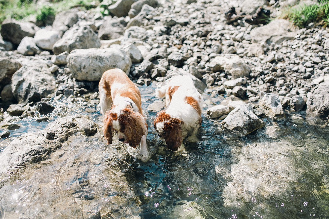 Hochzeitsfotograf-Oberstdorf-39