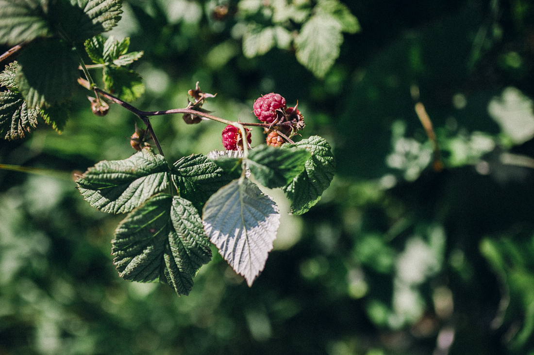 Hochzeitsfotograf-Oberstdorf-40