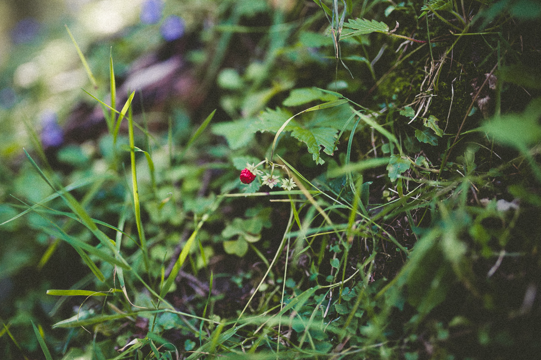 Hochzeitsfotograf-Oberstdorf-41